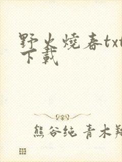 野火烧春txt下载