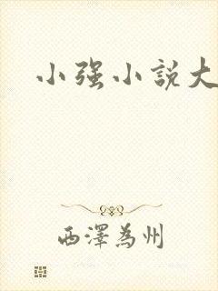 小强小说大全