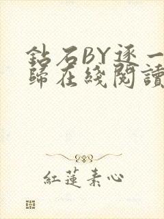 钻石BY逐一而归在线阅读