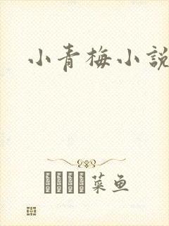 小青梅小说