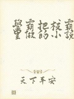 学霸把校霸往死里做的小说