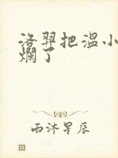 洛羿把温小辉做烂了封面