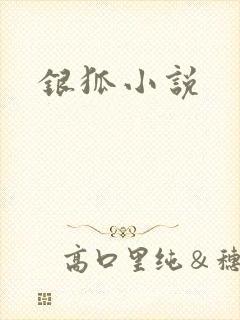 银狐小说