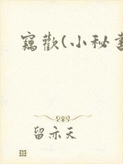 窃欢(小秘书)