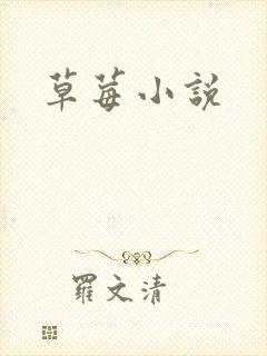 草莓小说封面