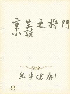 重生之将门毒后小说封面