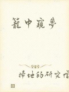 笼中窥梦