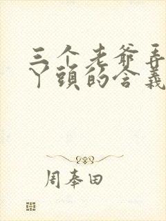 三个老爷弄一个丫头的含义封面