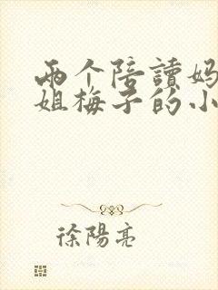 两个陪读妈妈赵姐梅子的小说封面