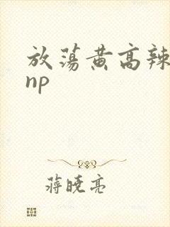 放荡黄高辣h文np封面
