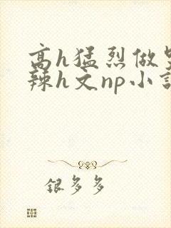 高h猛烈做哭高辣h文np小说封面