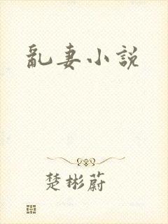 乱妻小说