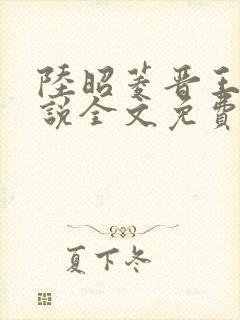 陆昭菱晋王的小说全文免费阅读