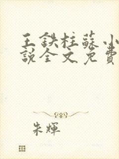 王铁柱苏小汐小说全文免费阅读最新章节封面