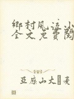 乡村风流小傻子全文免费阅读