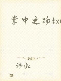 掌中之物txt