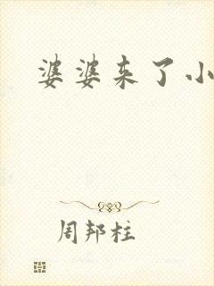 婆婆来了小说封面