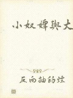 小奴婢与大少爷
