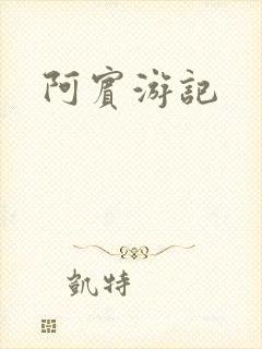 阿宾游记封面