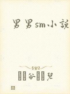 男男sm小说