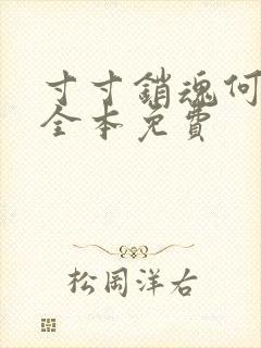 寸寸销魂何生祥全本免费
