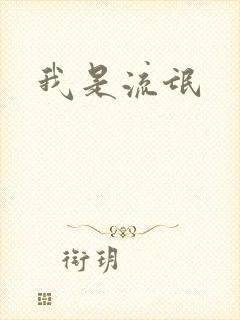 我是流氓封面