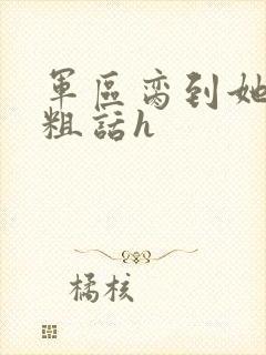 军区脔到她哭h粗话h