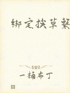 绑定挨草系统后