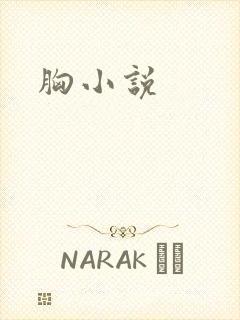 胸小说