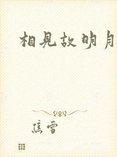 相见故明月