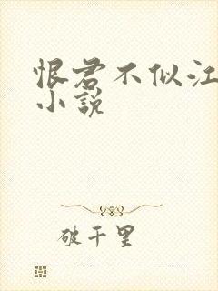 恨君不似江楼月小说