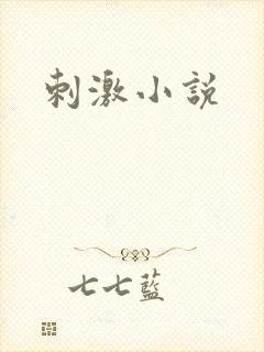 刺激小说