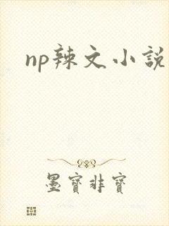 np辣文小说封面