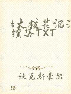 t大校花沉浮录续集TXT
