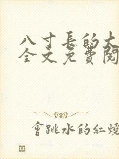 八寸长的大宝贝全文免费阅读封面