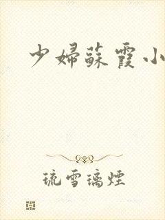 少妇苏霞小说