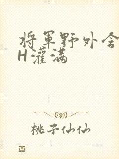 将军野外含公主H灌满封面