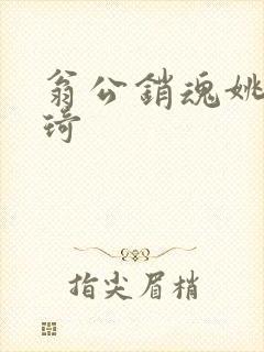 翁公销魂姚瑶琦琦