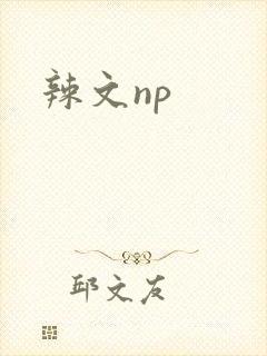 辣文np