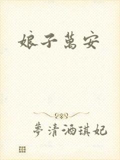 娘子万安封面