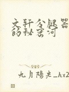 文轩分腿器河马的秘密河