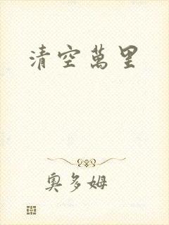 清空万里