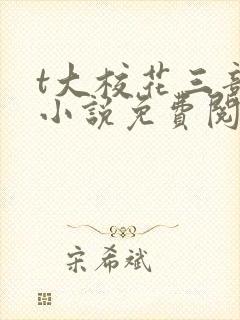 t大校花三部曲小说免费阅读全文封面