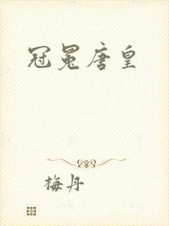 冠冕唐皇封面