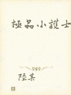 极品小护士