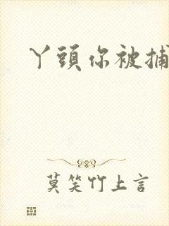丫头你被捕了封面