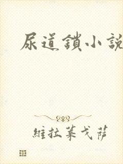 尿道锁小说