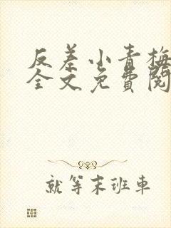 反差小青梅小说全文免费阅读封面