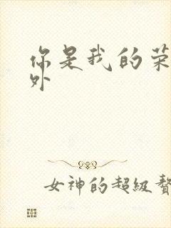 你是我的荣耀番外