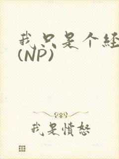 我只是个经纪人(NP)